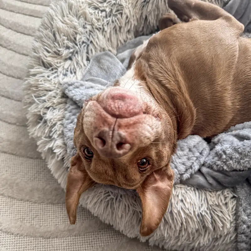 winnie
